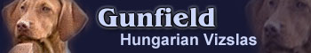 Breeder of Hungarian Vizslas breeding from the top international lines